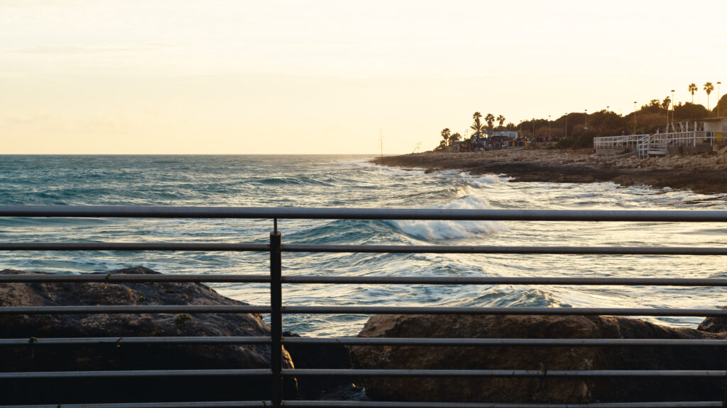 Corrosion resistant stainless steel